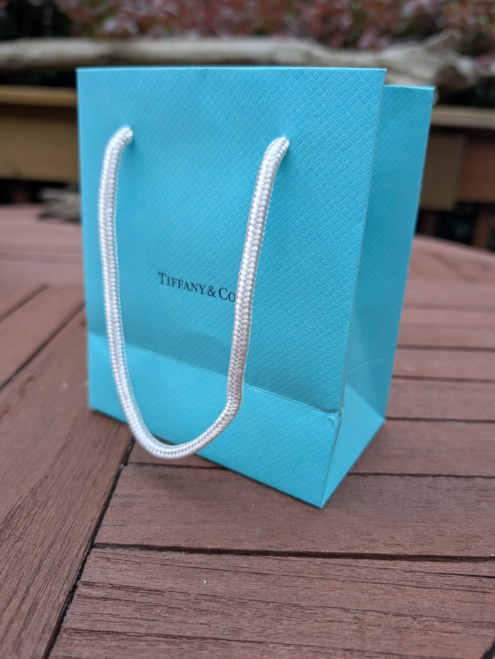 Tiffany & Co. Small Paper Shopping Bag